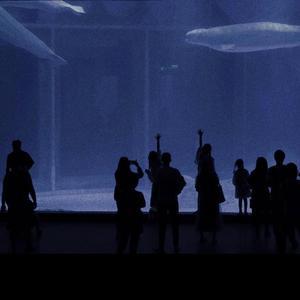 美女想玩逼逼下载视频
